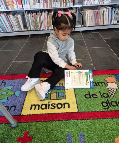 7415821135253523186-(1)